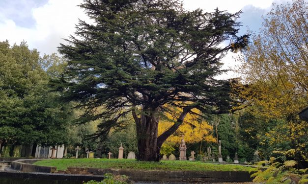 Highgate Cemetery – den unikke victorianske kirkegård